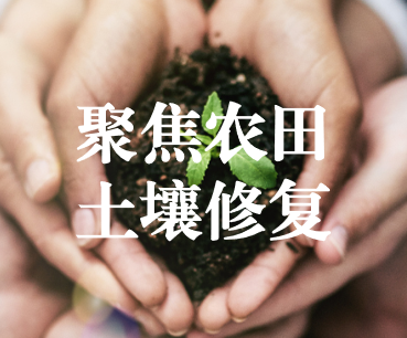 聚焦農(nóng)田土壤修復(fù)，保障糧食產(chǎn)品安全 ——踔厲奮發(fā)、篤行不怠，以奮斗之姿獻(xiàn)禮黨的二十大